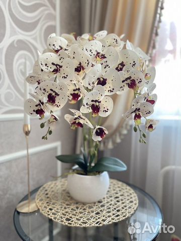 Интерьерные композиции