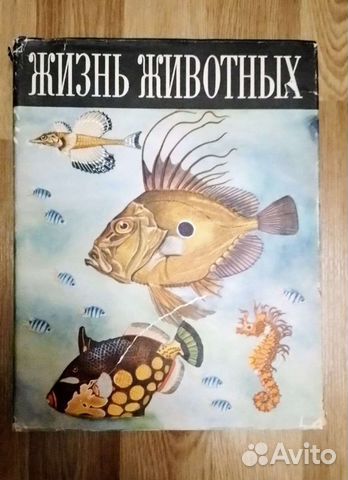 Жизнь животных
