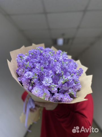 Букет из 15шт матиола/ букеты/ розы/ гипсофила