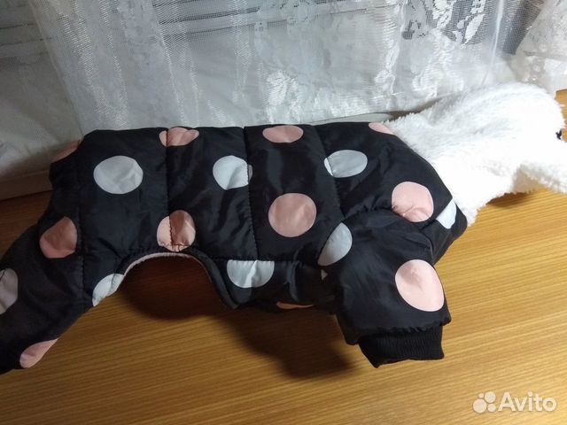 Одежда для собак мелких пород