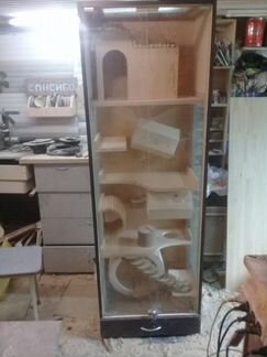 Витрины для шиншилл