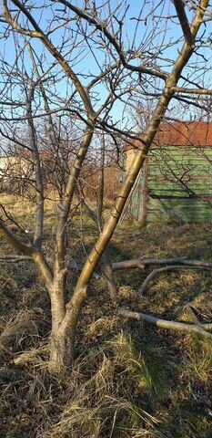 Участок 5 сот. (ИЖС)