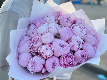 Доставка Пионов 25 пионов 51 пионов Букет пионы