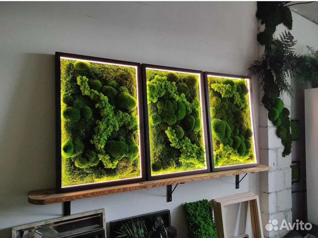 Мох стабилизированный фитокартина фитостена панно