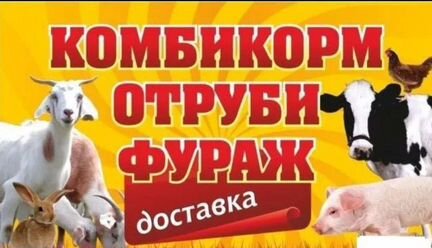 Комбикорм для всех видов сельскохозяйственной птиц