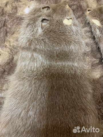 Шкурки нутрии