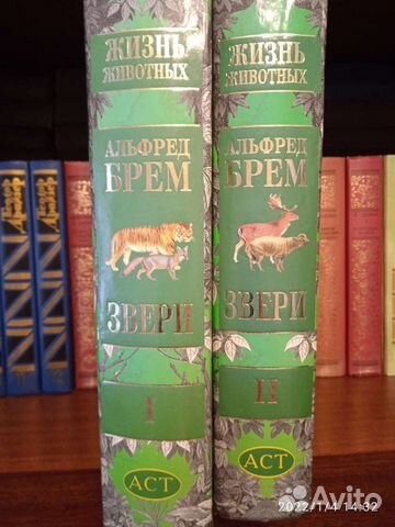 Книги и справочники