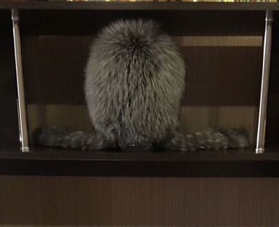 Шапка чернобурка натуральная