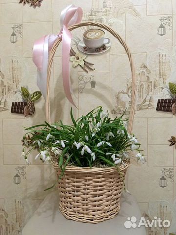 Корзинка подснежников. Цветок с луковицей