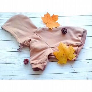 Одежда для маленьких собак