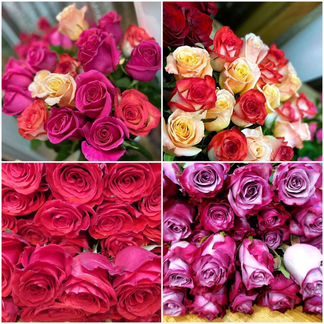 Цветы, Розы, хризантемы, Доставка