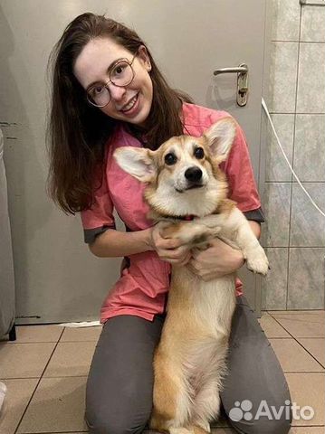 Передержка животных