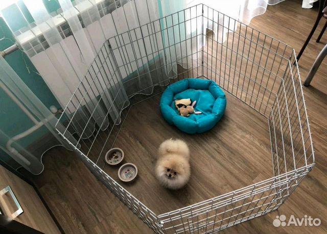 Вольер для собак и кошек