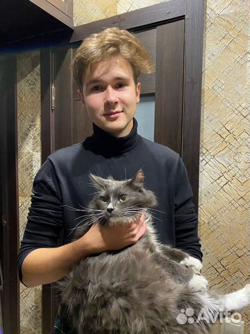 Услуги программиста