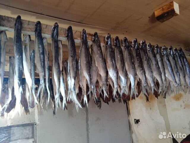 Продажа рыбной продукции