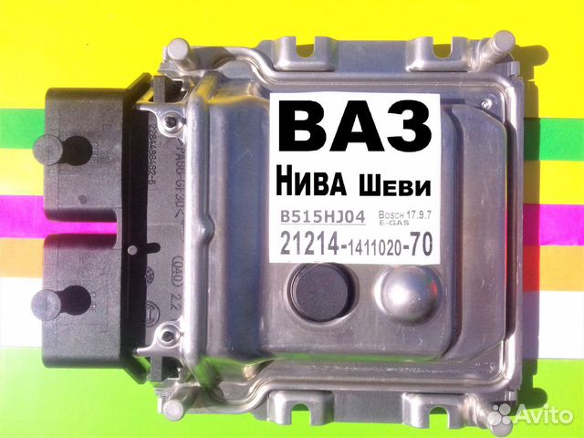 Эбу на ниву