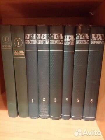Жизнь животных энциклопедия
