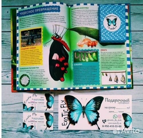 Детская Миниферма бабочек подарок 8 марта рождения