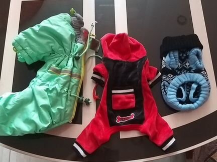 Одежда для животных