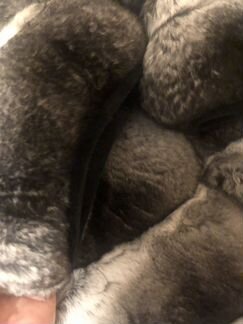 Шуба шиншилла