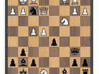 Школа шахмат genico объявление продам