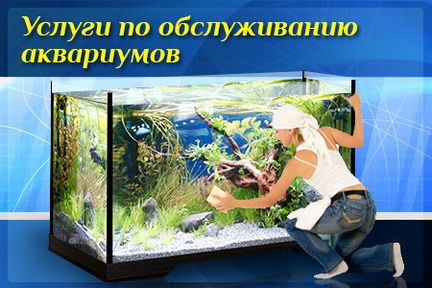 Чистка аквариумов Москва и Московская обл