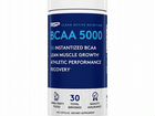 Bcaa 5000 (240 caps) от RSP Nutrition