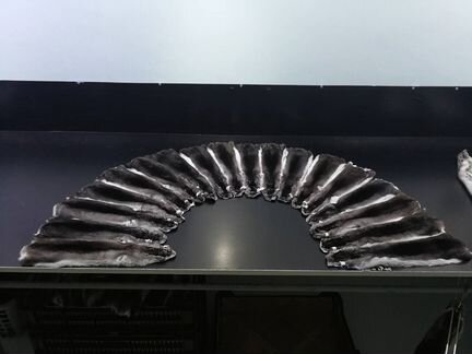 Шкурки из шиншиллы, высшая категория, венгрия