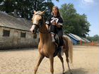 Катание на лошадях Ульяновск