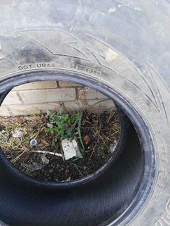 Шины внедорожные м/т