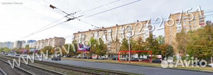 Торговая площадь, 283.7 м²