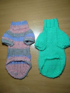 Свитер для котёнка сфинкса