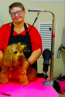 Груминг собак и кошек