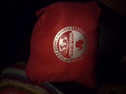 Пуховик napapijri