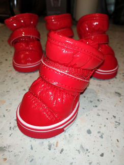 Обувь для собаки ботиночки