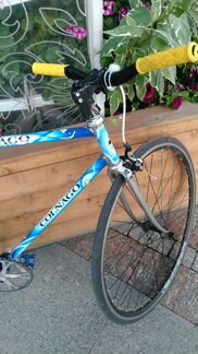 Vintage Colnago Art decor road bike