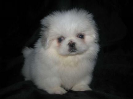 Снежинка