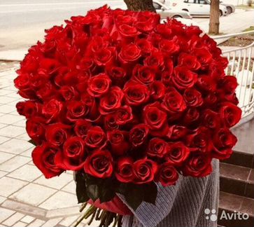 Розы, Букеты Цветы 25 51 151 201 501 101