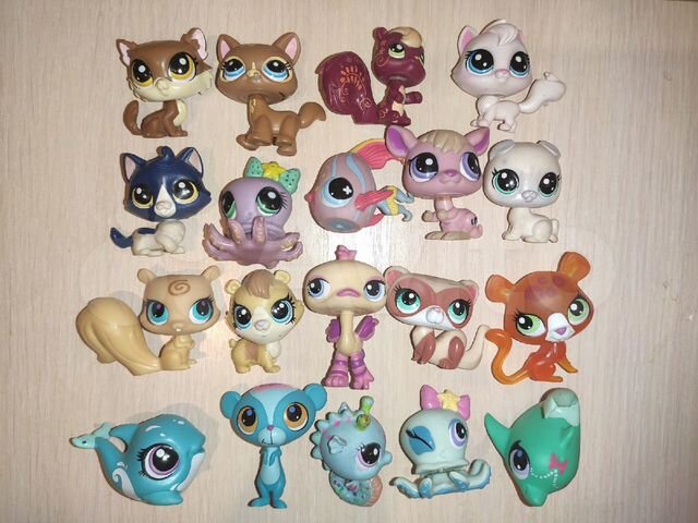 littlest pet shop 19