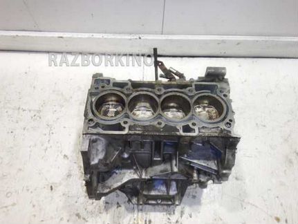 Блок двигателя Ниссан Qashqai JJ10