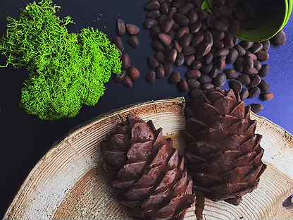 кедр шишка с орехами. шишка шоколадная с кедровыми орешками. краскон шишка с орехом в шоколаде. шишки в шоколаде. шишка с орехами внутри.