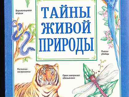 Тайны живой природы. Энциклопедия тайны живой природы иллюстрация. Книга тайны живой природы, мистика. Книга тайна живой природы - медведи.