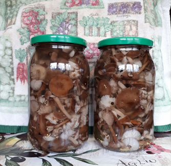 Маринованные и солёные опята