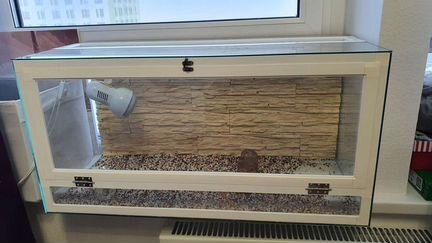 Террариум для рептилий